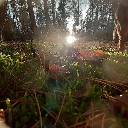 Appartement Ogrodowy *