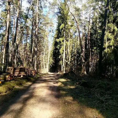 Ogrodowy